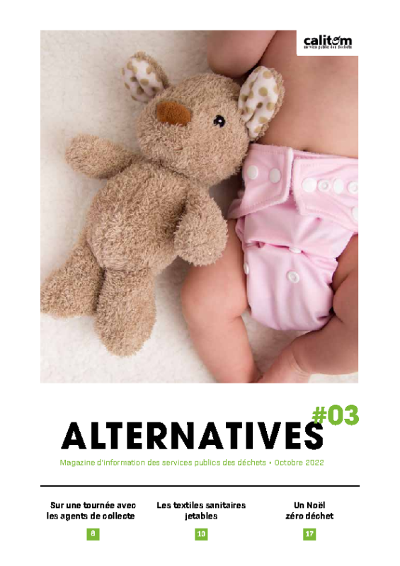 Alternatives 3